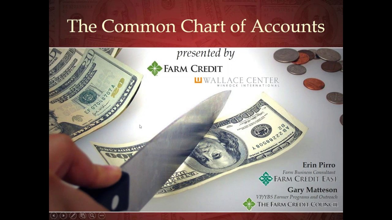 Common Chart Of Accounts