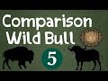 Wild Bull Comparison [5 Species] - Saiful Chemistry