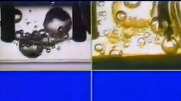 Nucleate Boiling in Kitchen and Space