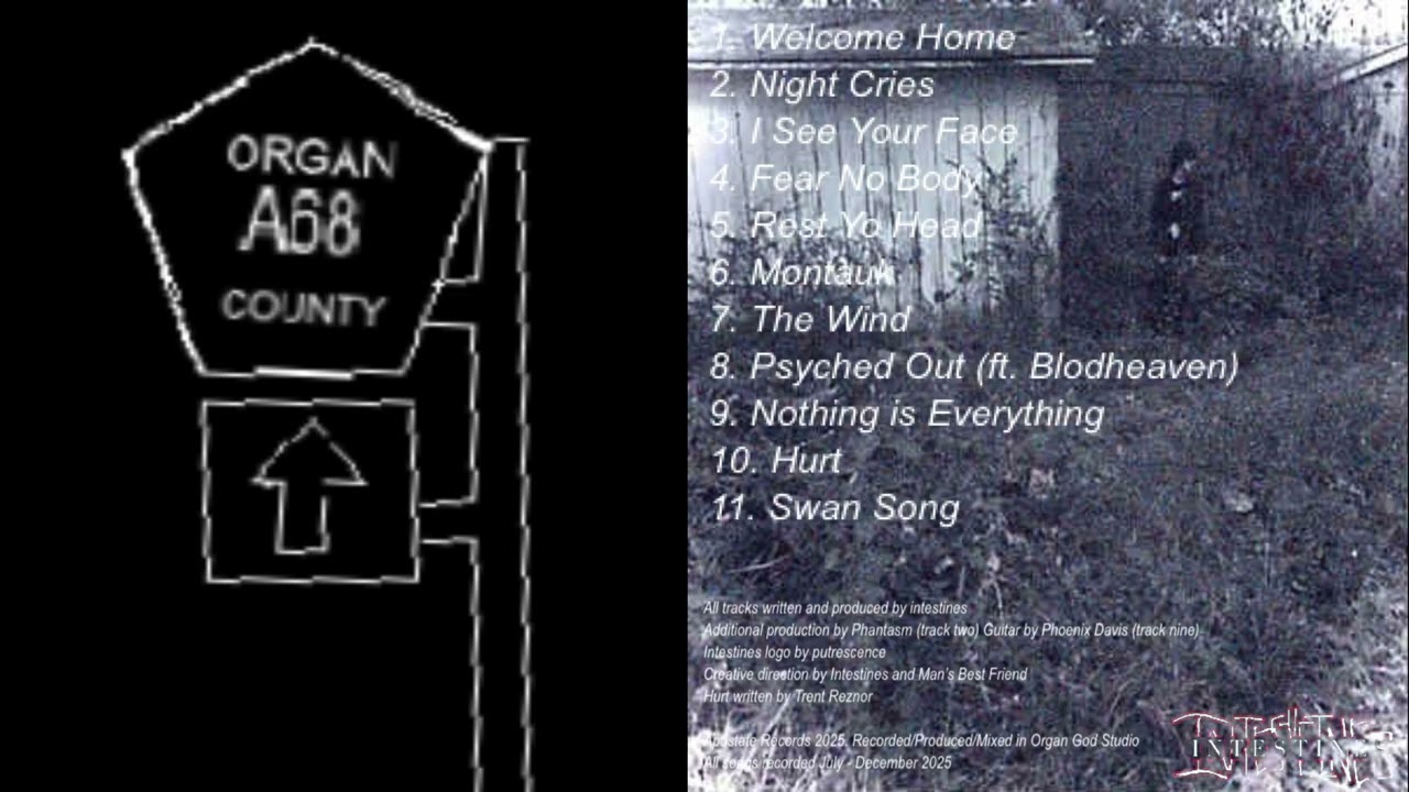 INTESTINES - ORGAN COUNTY [FULL ALBUM]