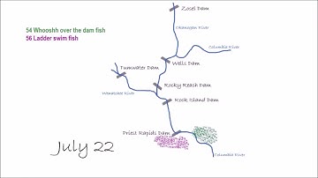 Whooshh Selective Fish Passage - How it Works
