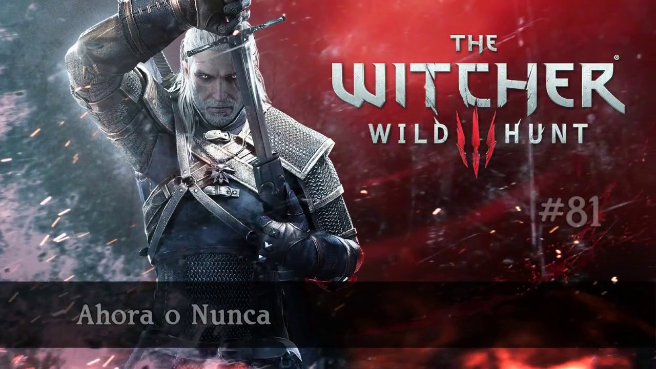 The Witcher 3 Ahora O Nunca