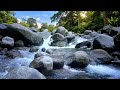 River Sounds for Deep Sleep | Sleep Better with Peaceful Nature White Noise All Night