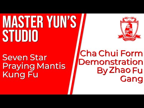 Master Wang Qing Zhai Inherit Festival | Cha Chui Form Demonstration