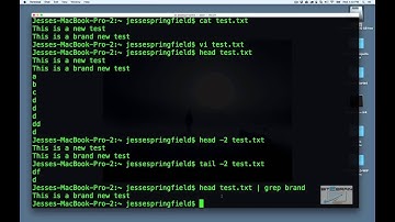 cmd - how to pause your program