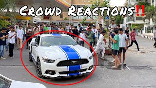 THEY STOPPED MUSTANG FOR REVVS | CRAZY ACCELERATIONS Ft. Lamborghini , Ferrari, Porsche Etc..