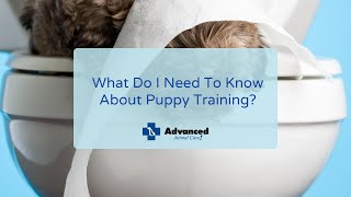What Do I Need To Know About Puppy Training? by Advanced Animal Care 24 views 2 years ago 1 minute, 52 seconds