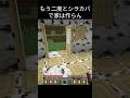次はオークにしようかな🤔#マイクラ #minecraft