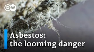 Why asbestos still remains a global hazard | DW News