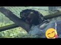 Soundarya wet song enjoyed