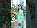 Tere Ishq Mein Pagal Song by Alka Yagnik, Sapna Awasthi, Udit Narayan #alkayagnik #uditnarayansongs