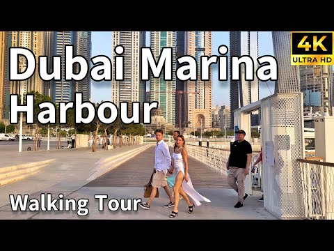 Dubai Harbour 🇦🇪