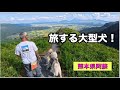 【ハスキー犬と旅】大分を通って熊本へ!観光にランチに買い物!