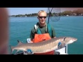 Just caught huge 55 pound sturgeon in north channel 25 to 50 years old