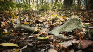 ZHODY 2025 - každý zhod poteší / zhod z daniela / ZRZUTY 2025