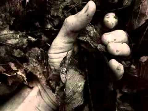 მსურს სიკვდილამდე გიმღერო ქება - მირზა გელოვანი