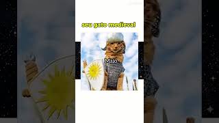 Seu mês seu gato de aniversário #gato #medieval