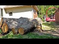 Picking up Logs for the Sawmill | Urban Logging