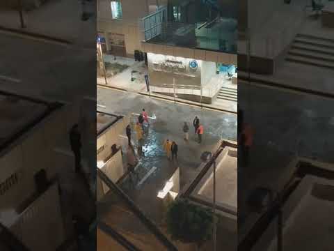 تعقيم مستشفى بورفؤاد العالم مستشفي الحياة
