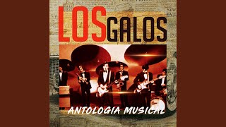 Video thumbnail of "Los Galos - Nuestro Adios"