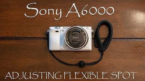 SONY A6000 HOW TO USE FLEXIBLE SPOT