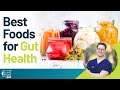 Best Foods For Gut Health | Dr. Will Bulsiewicz Live Q&A on The Exam Room