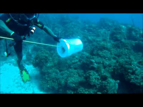 new bucket Breezes.wmv