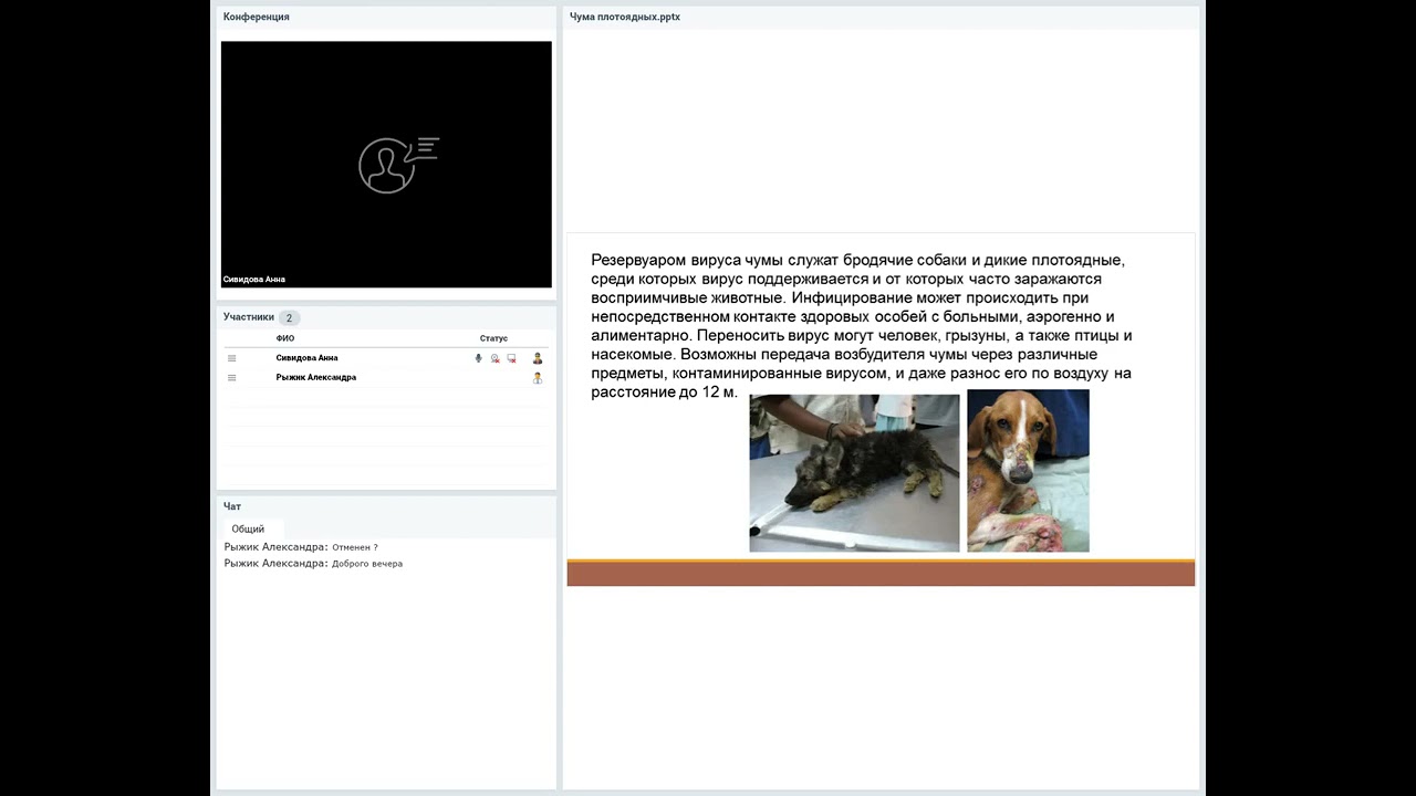 Чума плотоядных у животных. Этиология. Патогенез. Клинические признаки. Лечение. Профилактика.