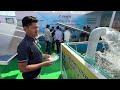 Shakti solar pump 5 hp शक्ती सोलर पम्प Mp3 Song