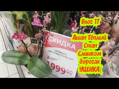 Влог 17. Орхидеи