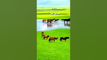 تلاوة جميلة جدا الشيخ محمد صديق المنشاوي #قرآن #اكسبلور #news #راحة_نفسية #quran