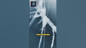 Why Does Ice Float in Drinks?#dailyonefact#facts#science