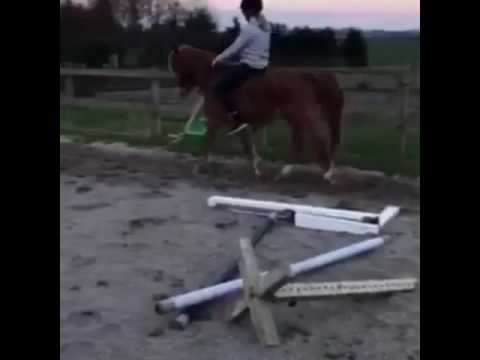 Video: Nydeligt Nyt Trick Eller En Masse Gammel Pony? Matador Netværk