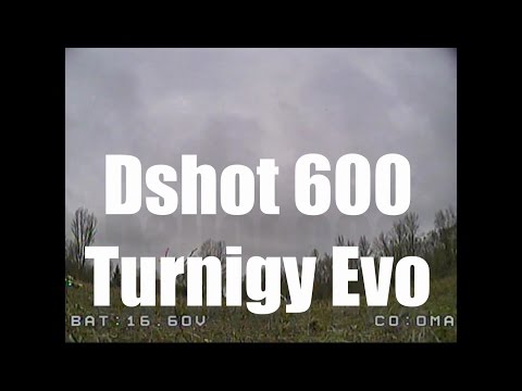 Dshot 600 / Turnigy Evolution