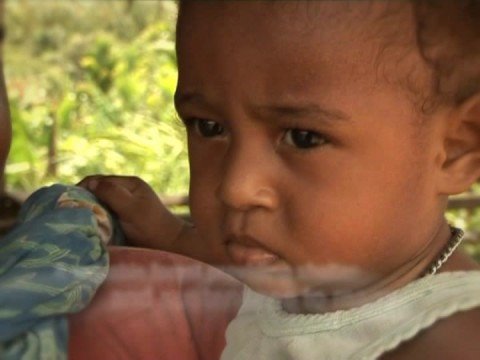 Papua: Indonesia's Last Forest Frontier