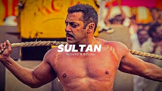 Sultan (Slowed+Reverb) - Sukhwinder Singh X Shadab Faridi || GYM Motivation 🏋️ by GYM Motivation 2,383 views 2 weeks ago 4 minutes, 46 seconds