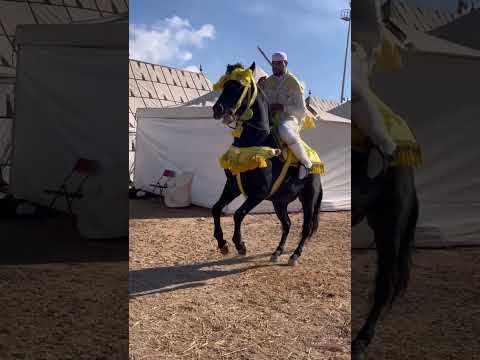 الفحل لمنور