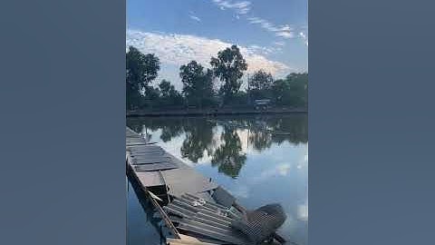 Vlogs 144 Báo cá - Hồ câu Thái Dương 0933110009 KP Tân Ba, P. Thái Hòa, Tân Uyên, Bình Dương