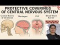 CNS protective coverings | Cranial bones | Vertebral bones | Meninges | Cerebrospinal fluid