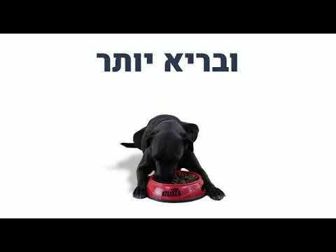 וִידֵאוֹ: מזון לכלבים יבשים: כללי בחירה