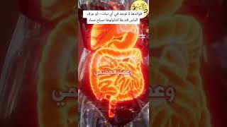 حبوب الكزبرة هي اسرع علاج لضبط السكر #shorts #health