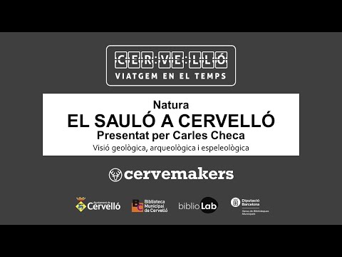 Vídeo: La societat tecnocràtica a través dels ulls d'un artista