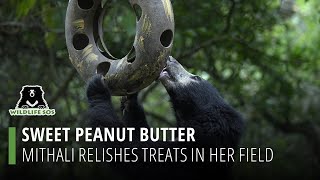 Mithali Relishes Sweet Peanut Butter Treats In Her Field