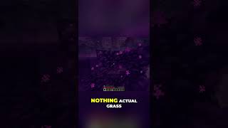 Wither Boss Spawned Right After Portal Jump #minecraft #shorts #challenge