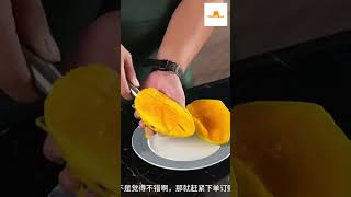 Alat Pengupas  Pemotong Mangga Stainless Steel 304 Multifungsi untuk Semangka Alpukat