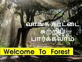 forest adventure/WELCOME  AND  ENJOY  THE NATURE  OF FOREST - natures basket