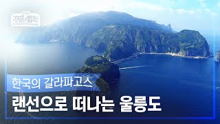 [랜선여행✈️] 동해의 수호섬, 한국의 갈라파고스! 울릉도 [정글의 법칙|SBS 201212 방송]