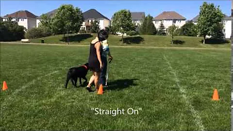 Sandy Benoit and Orvin RallyO Demo - Canine Touch ...