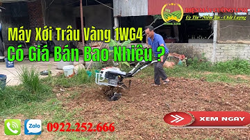 Máy Xới Đất Đa Năng Trâu Vàng IN1WG4 Có Giá Bán Bao Nhiêu