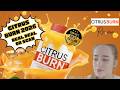 Real Results or Just Hype? Citrus Burn Reviewed